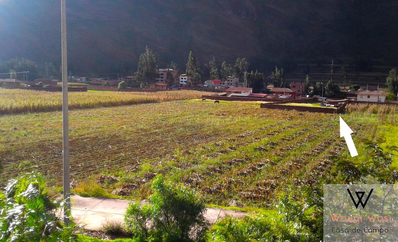 Wayqi Wasi Guest House Pisac Exterior photo