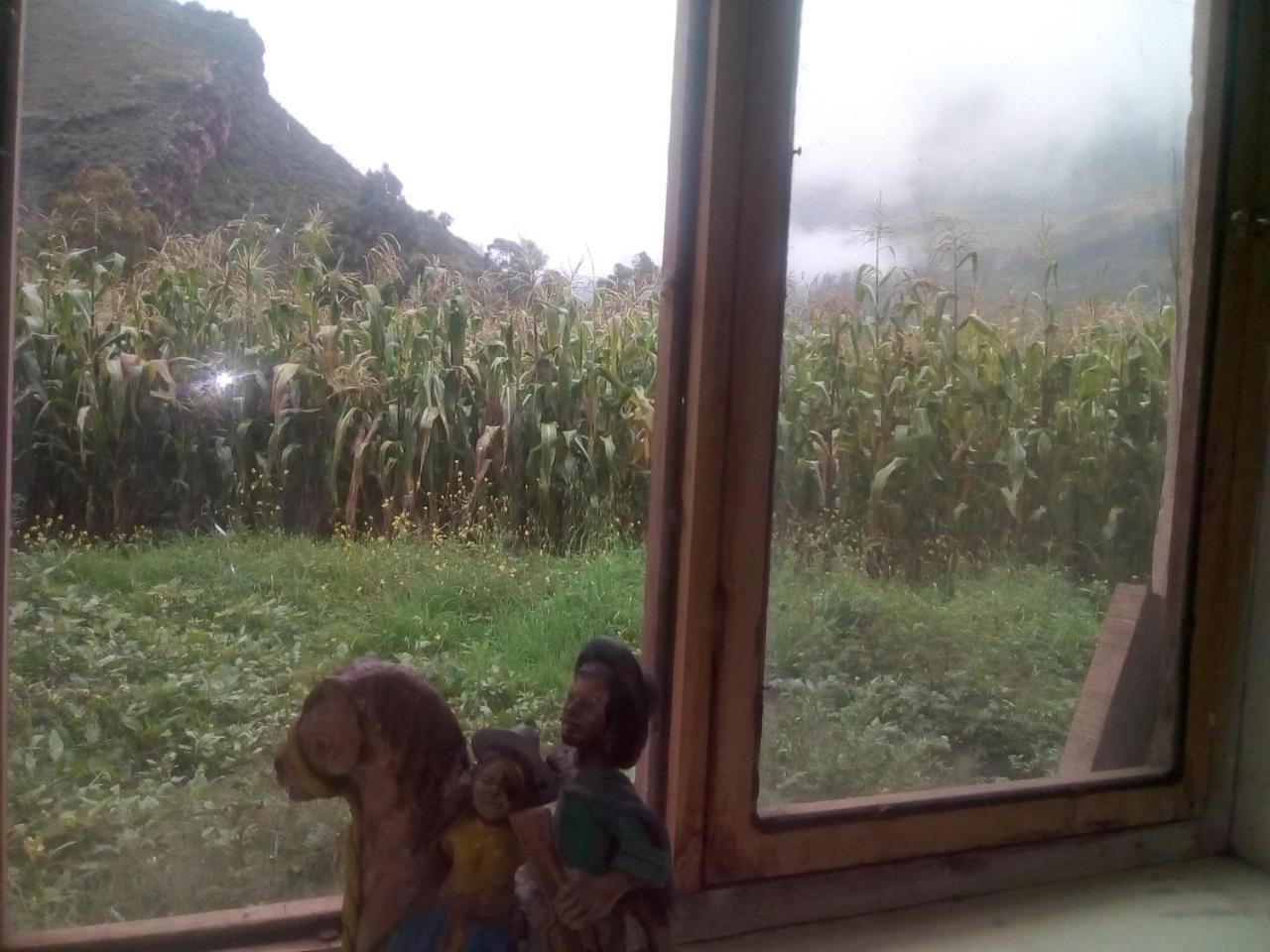 Wayqi Wasi Guest House Pisac Exterior photo